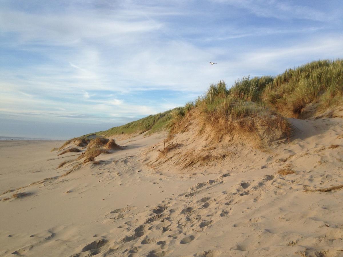 Beachhouses Texel De Koog  Exteriör bild